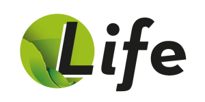 WELLIS PEAK LIFE