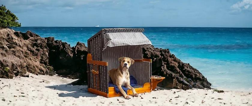 Hunde Strandkörbe