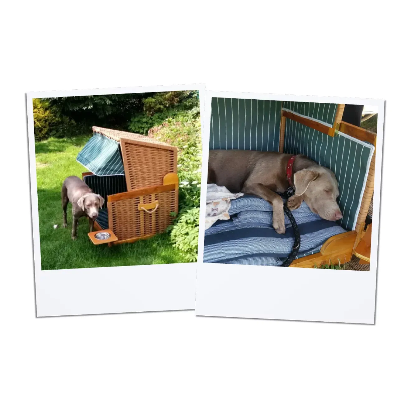 Hundestrandkorb Wacholder, PE Beige – Dessin Blau Gestreift