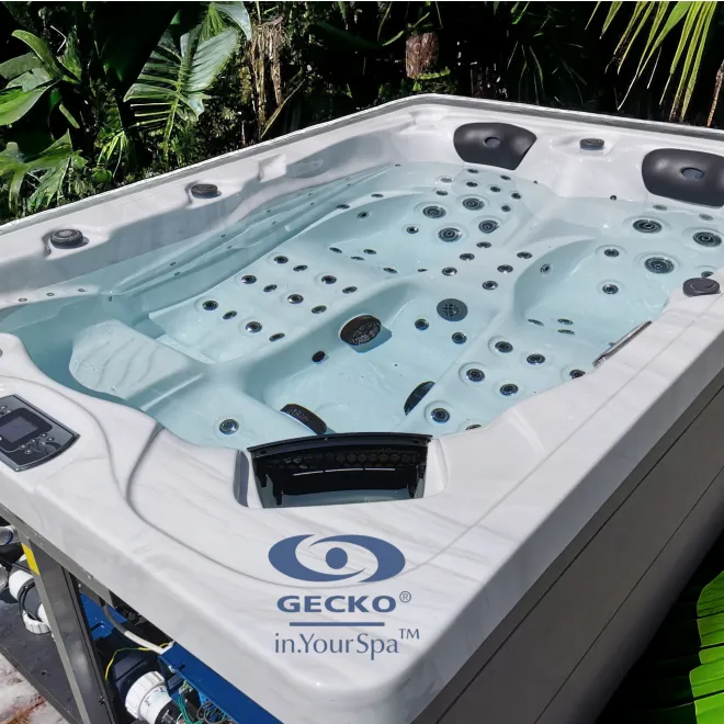 Whirlpool Zürich mit Gecko Steuerung