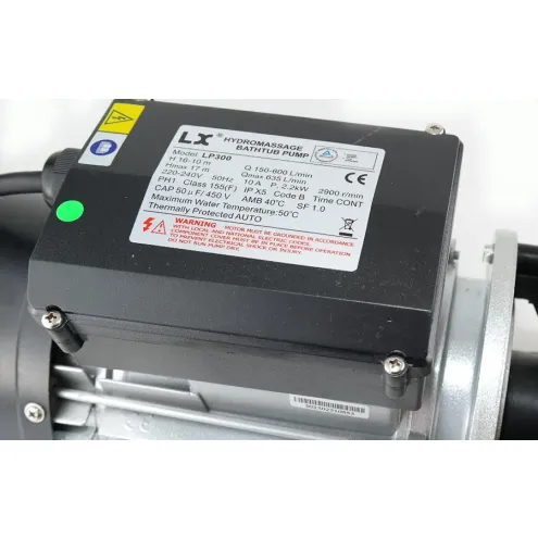 Wellis Pumpe ACM0079 (LX LP200) 1.5 kW (2 PS) 1-stufig
