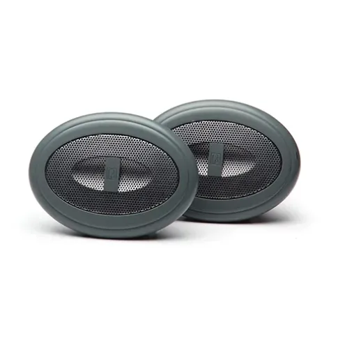 Poly-Planar Lautsprecher oval