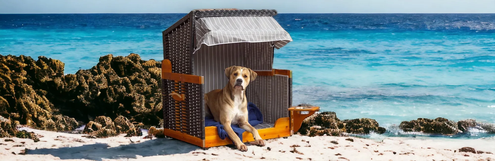 Hundestrandkorb